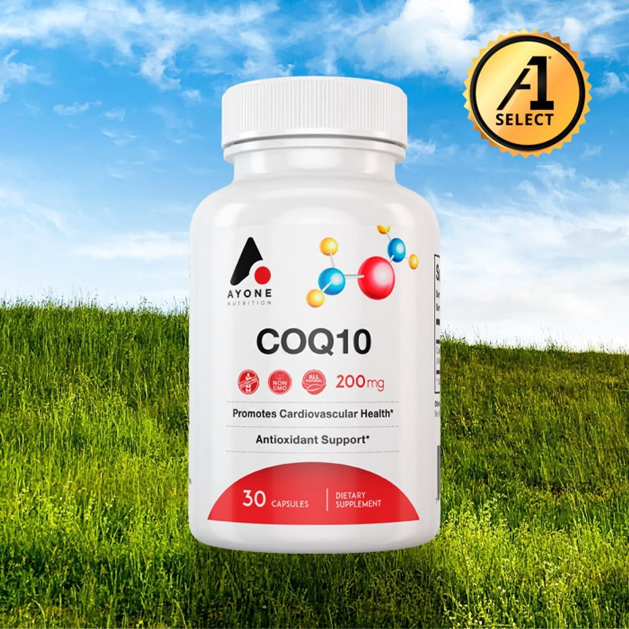 Ayone Nutrition CoQ10 1