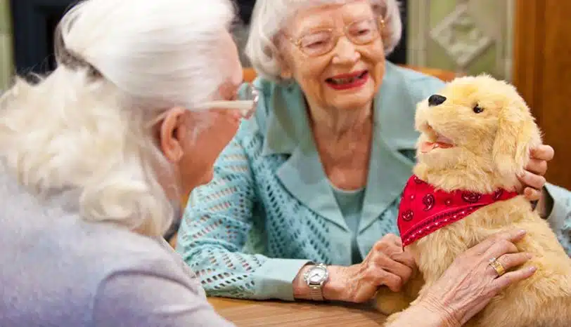 joy for all companion pet pup