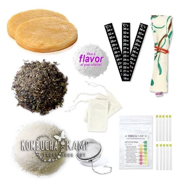 kombucha brew kit