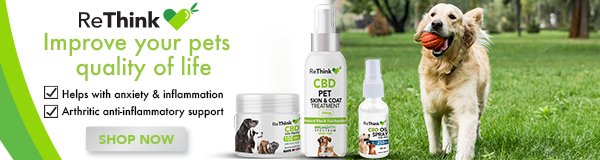 improve your pets quality of life