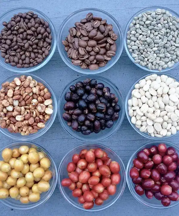 big island coffee roasters club hawaiian coffee subscription